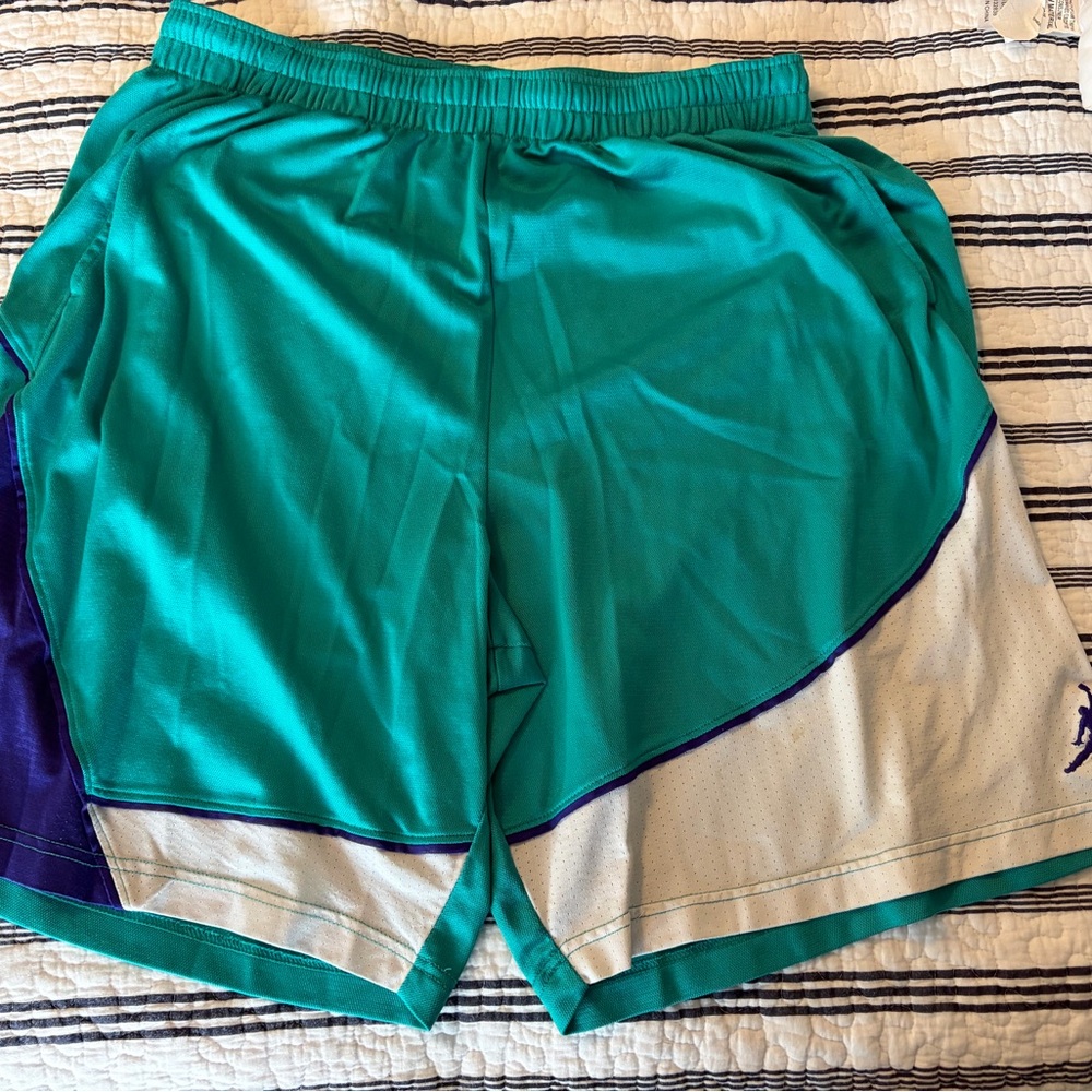 Teal and Purple Air Jordan Shorts